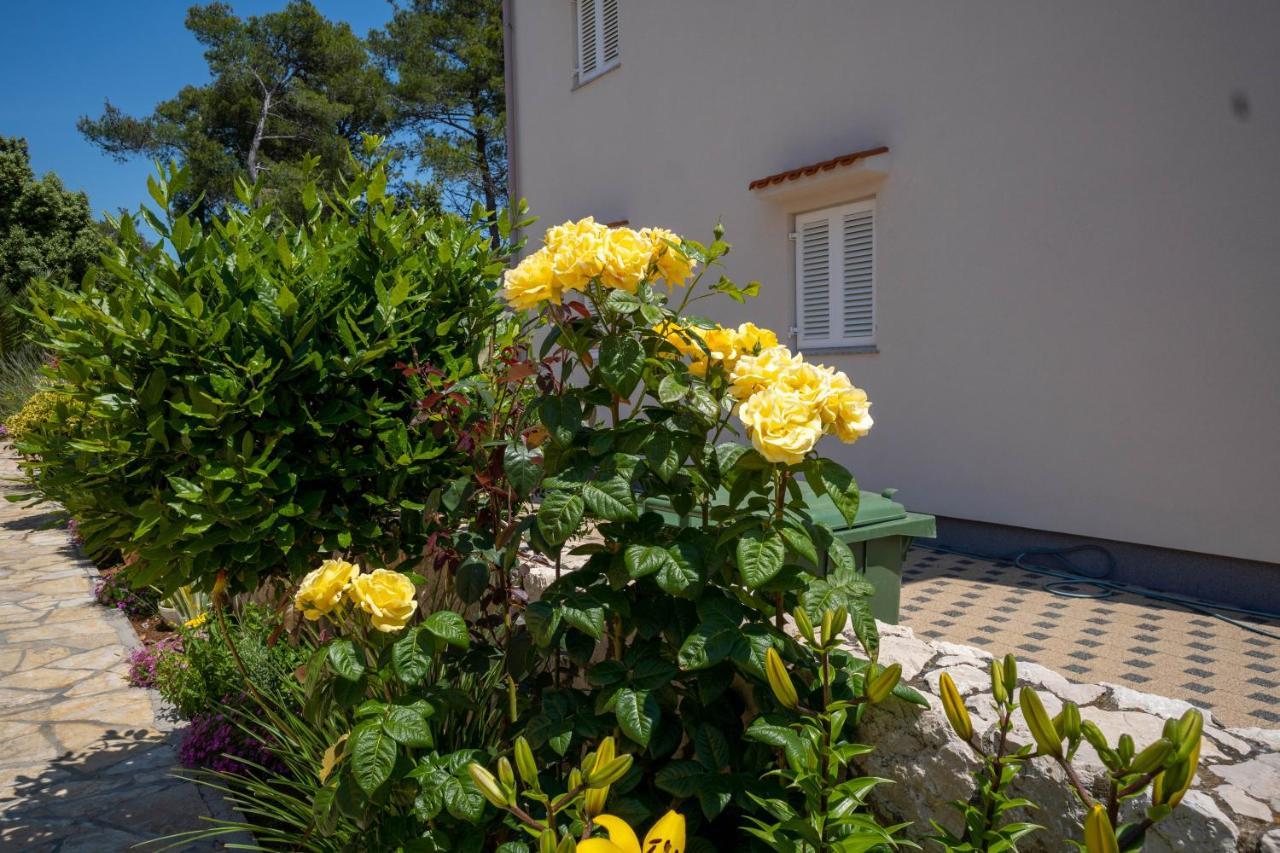 Apartments Pavic - Sapavac Vir Extérieur photo
